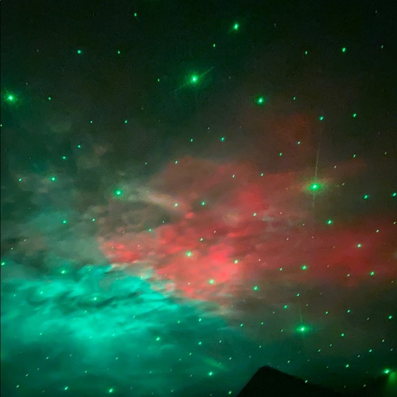 Meet your Posher, Daisy - Picture 2 of 2